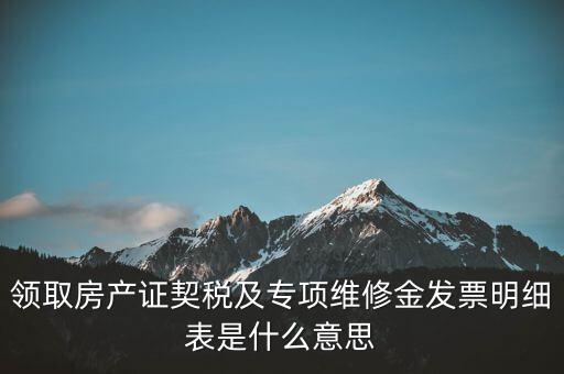 領(lǐng)取房產(chǎn)證契稅及專項(xiàng)維修金發(fā)票明細(xì)表是什么意思