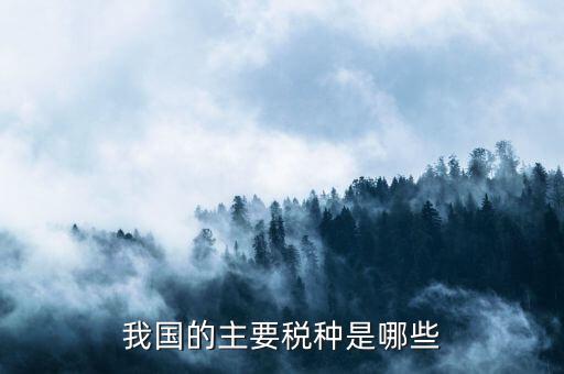 中國三大稅收是什么，中國境內(nèi)的稅收種類