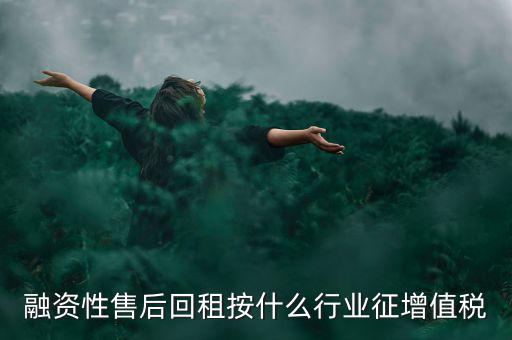 融資性售后回租按什么行業(yè)征增值稅