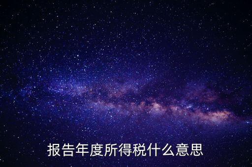 報告年度所得稅什么意思