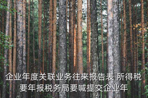 企業(yè)年度關聯業(yè)務往來報告表 所得稅要年報稅務局要喊提交企業(yè)年