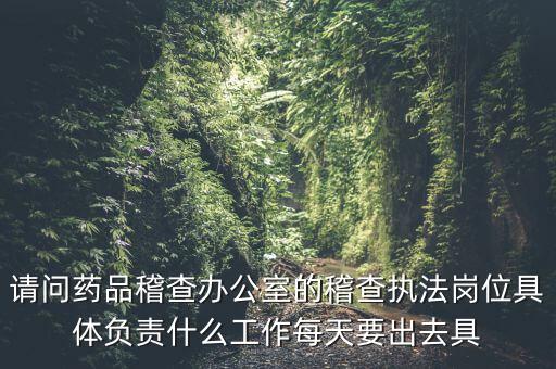 請問藥品稽查辦公室的稽查執(zhí)法崗位具體負(fù)責(zé)什么工作每天要出去具