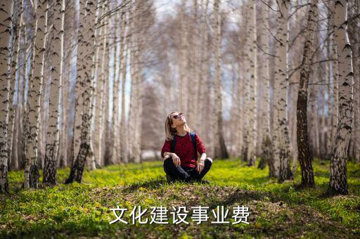 什么是文化事業(yè)建設(shè)稅，文化建設(shè)事業(yè)費(fèi)