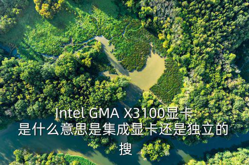 國稅集成理念是什么意思，Intel GMA X3100顯卡 是什么意思是集成顯卡還是獨(dú)立的  搜