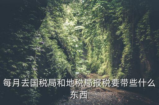 每月去國稅局和地稅局報(bào)稅要帶些什么東西