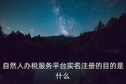 自然人辦稅服務(wù)平臺實(shí)名注冊的目的是什么