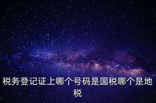 國稅地稅登記號是什么，稅務(wù)登記證上哪個(gè)號碼是國稅哪個(gè)是地稅