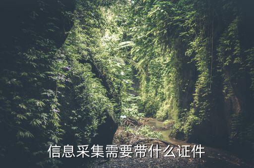 實(shí)名信息采集帶什么東西，去銀行辦理對(duì)公信息采集表需要帶哪些東西