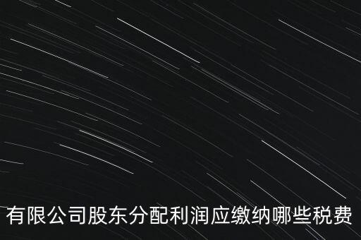 有限公司股東分配利潤應(yīng)繳納哪些稅費