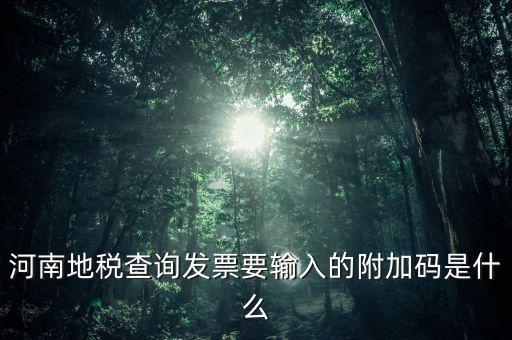 河南發(fā)票密碼是什么樣的，河南地稅查詢發(fā)票要輸入的附加碼是什么