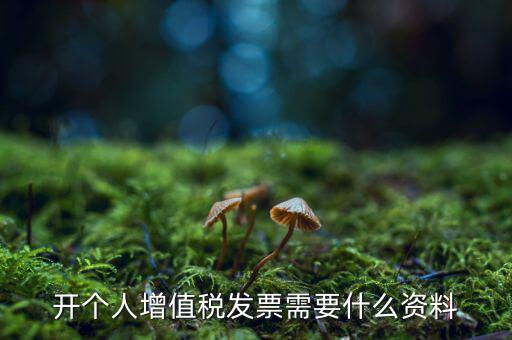 開個人增值稅發(fā)票需要什么資料