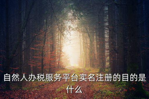 自然人辦稅服務(wù)平臺實名注冊的目的是什么