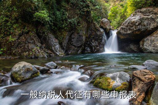 一般納稅人代征有哪些申報(bào)表