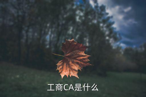 工商CA是什么