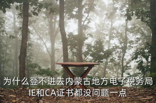 為什么登不進去內蒙古地方電子稅務局IE和CA證書都沒問題一點