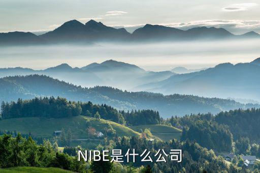 NIBE是什么公司