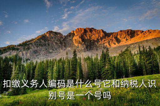 扣繳義務(wù)人編碼是什么號它和納稅人識別號是一個(gè)號嗎