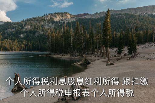 個人所得稅利息股息紅利所得 跟扣繳個人所得稅申報表個人所得稅