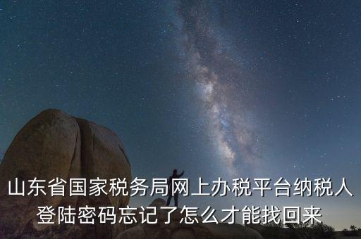 山東省國家稅務局網上辦稅平臺納稅人登陸密碼忘記了怎么才能找回來