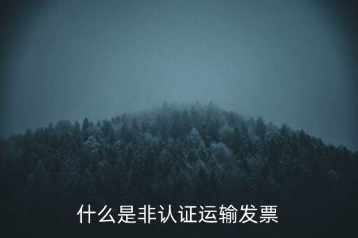 運輸票是什么，運輸發(fā)票是普通發(fā)票嗎