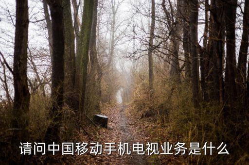請(qǐng)問(wèn)中國(guó)移動(dòng)手機(jī)電視業(yè)務(wù)是什么