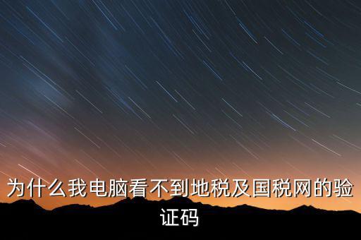 為什么我電腦看不到地稅及國稅網(wǎng)的驗(yàn)證碼