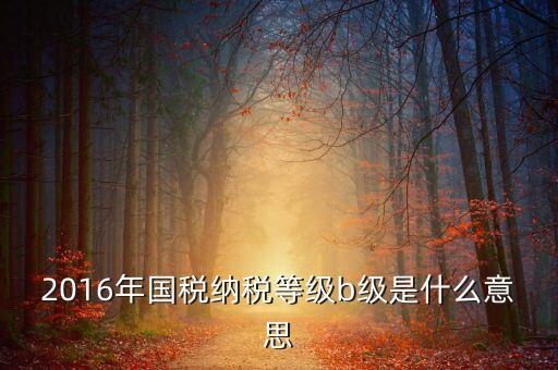 2016年國稅納稅等級b級是什么意思