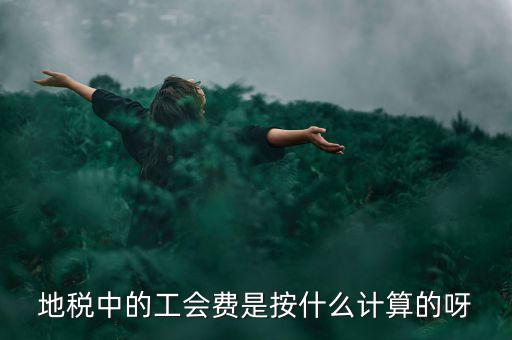 地稅代征的工會經(jīng)費按什么計算，地稅中的工會費是按什么計算的呀