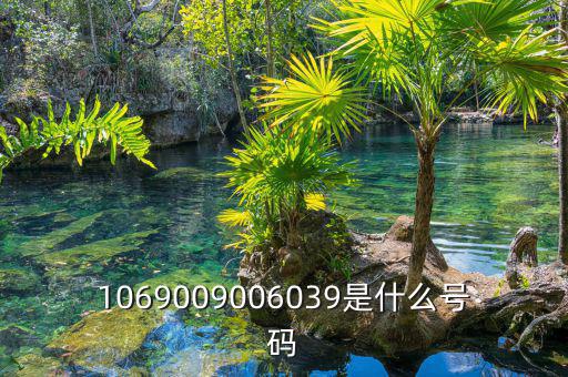 10699999是什么號碼，1069009006039是什么號碼