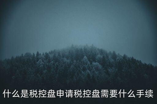 什么是稅控盤申請稅控盤需要什么手續(xù)