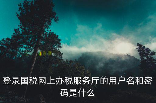 稅務(wù)查詢賬號密碼是什么意思，登錄國稅網(wǎng)上辦稅服務(wù)廳的用戶名和密碼是什么