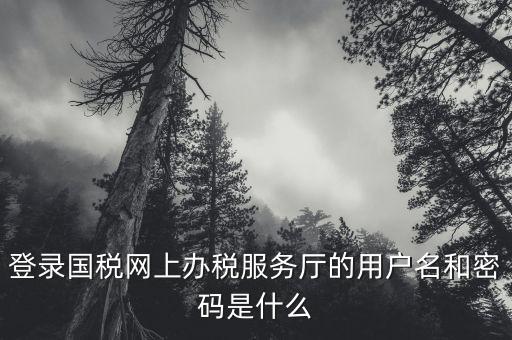 登錄國(guó)稅網(wǎng)上辦稅服務(wù)廳的用戶名和密碼是什么