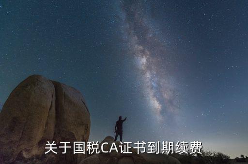 關于國稅CA證書到期續(xù)費