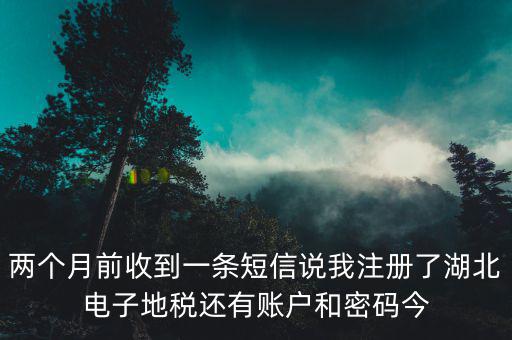 兩個(gè)月前收到一條短信說我注冊(cè)了湖北電子地稅還有賬戶和密碼今