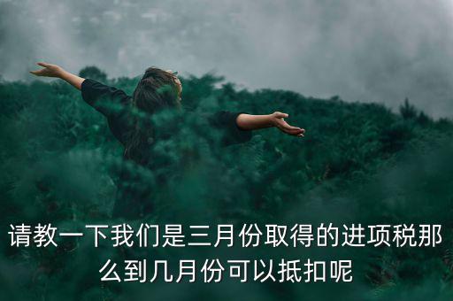 請教一下我們是三月份取得的進項稅那么到幾月份可以抵扣呢