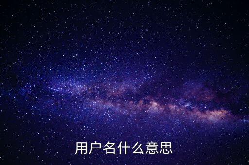 微稅用戶名是什么意思啊，用戶名什么意思