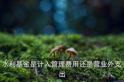 水利基金是計(jì)入管理費(fèi)用還是營業(yè)外支出