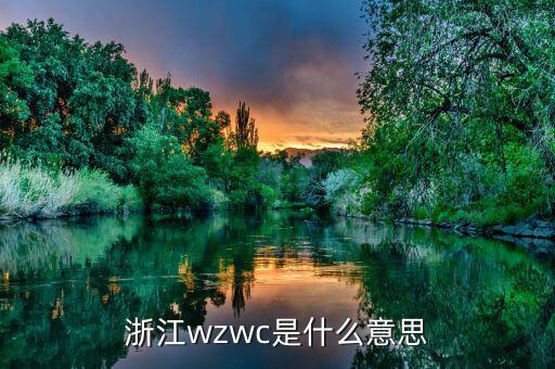 浙江wzwc是什么意思