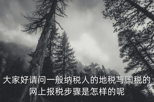 地稅用戶名是什么河北，我是新手如何使用河北地稅網(wǎng)網(wǎng)上報(bào)稅知道的老師請(qǐng)告知謝了