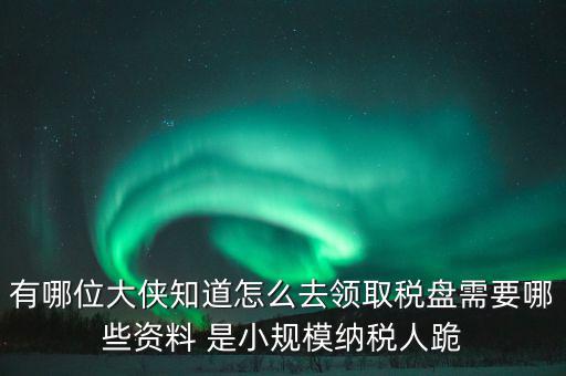 稅盤開通要什么資料，去稅務局辦理稅控盤需要什么資料流程怎么走呢