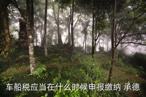 特種車(chē)車(chē)船稅什么時(shí)候申報(bào)，車(chē)船稅應(yīng)當(dāng)在什么時(shí)候申報(bào)繳納 承德
