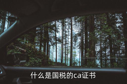 ca稅務數(shù)字證書是什么，什么是國稅的ca證書