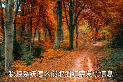 撤銷紅字信息表需要什么，我是購(gòu)貨方開具紅字信息表錯(cuò)誤去稅務(wù)局撤銷信息表查看描寫