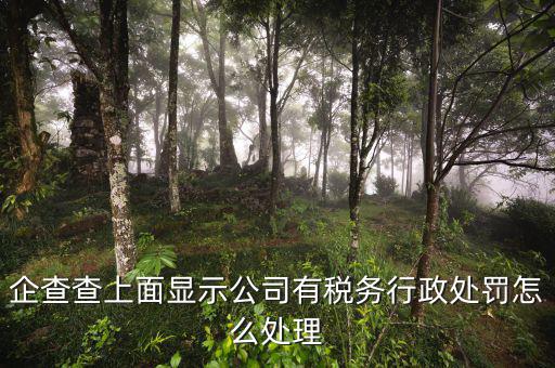 稅務(wù)行政處罰公示后什么時候消除，稅務(wù)處理決定書何時生效