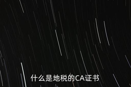 什么是地稅的CA證書