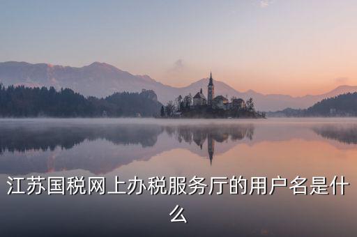 網(wǎng)上辦稅平臺(tái)帳號(hào)是什么，地稅網(wǎng)上申報(bào)用什么帳號(hào)