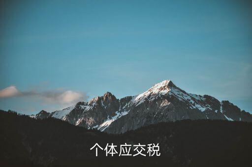 個體應(yīng)交稅