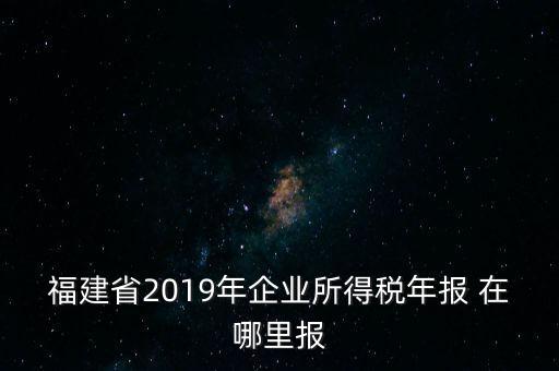 福建省2019年企業(yè)所得稅年報 在哪里報