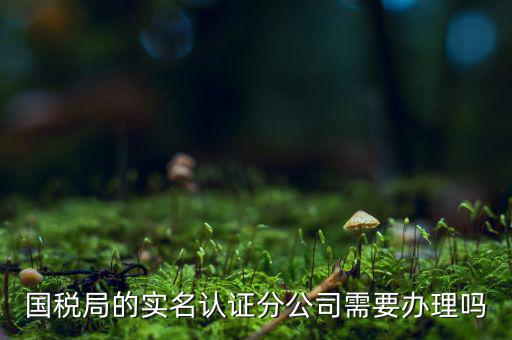 國稅局的實(shí)名認(rèn)證分公司需要辦理嗎