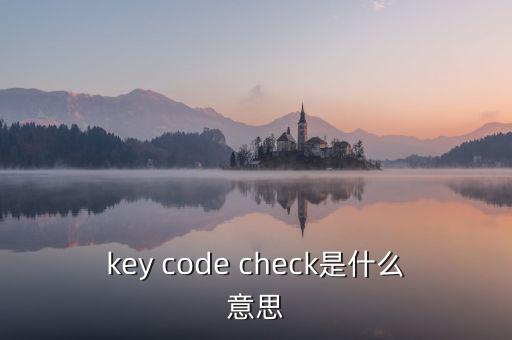 key code check是什么意思